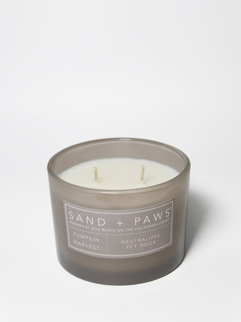 Sand + Paws Pumpkin Harvest 12 oz scented candle