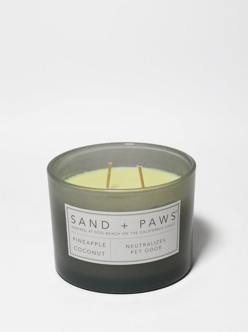 Sand + Paws Pineapple Coconut 12 oz scented candle