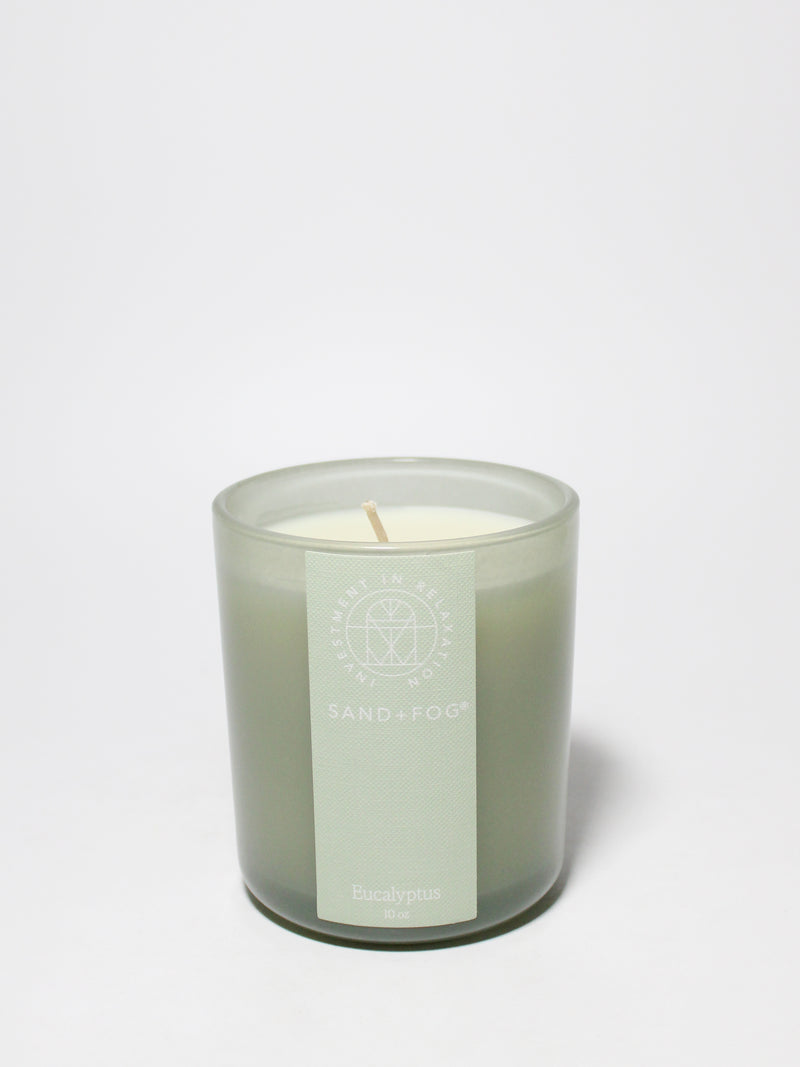 Eucalyptus 10 oz scented candle