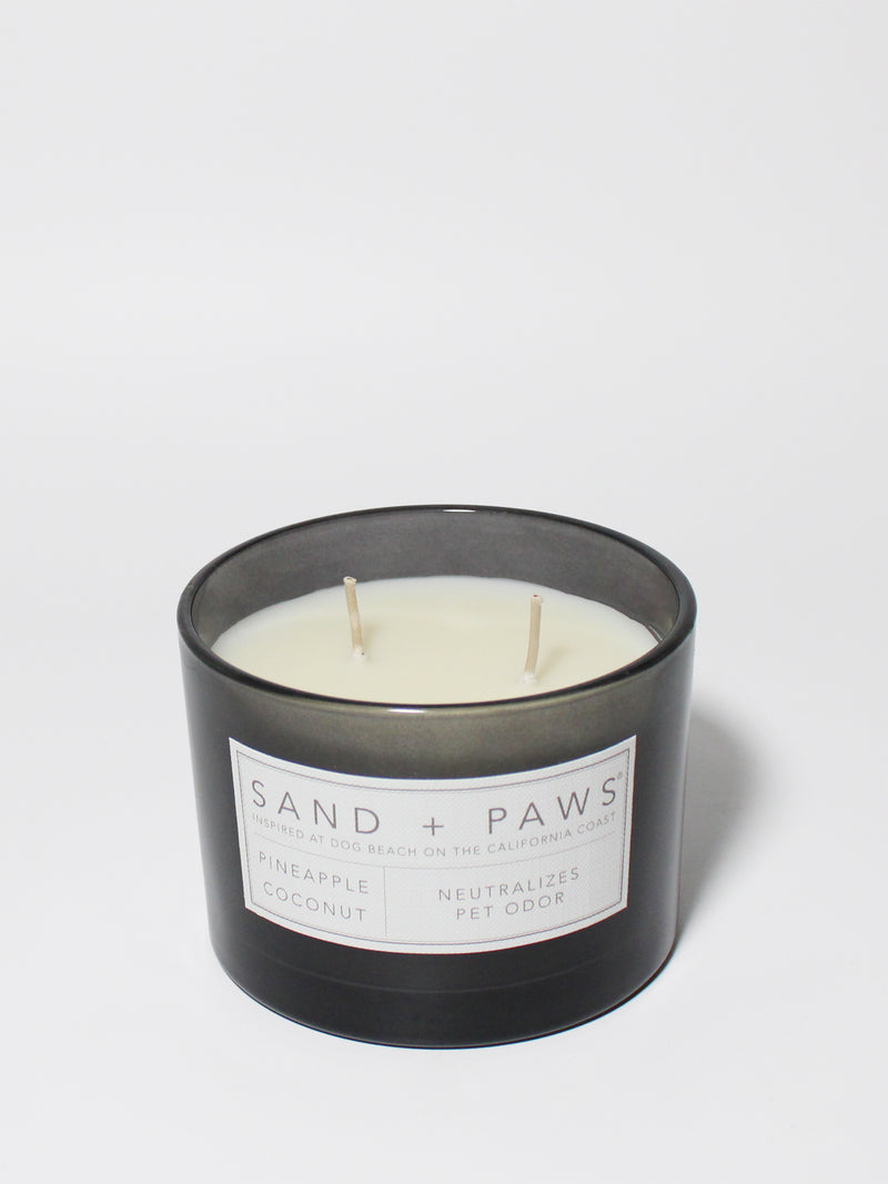Sand + Paws Pineapple Coconut 12 oz scented candle