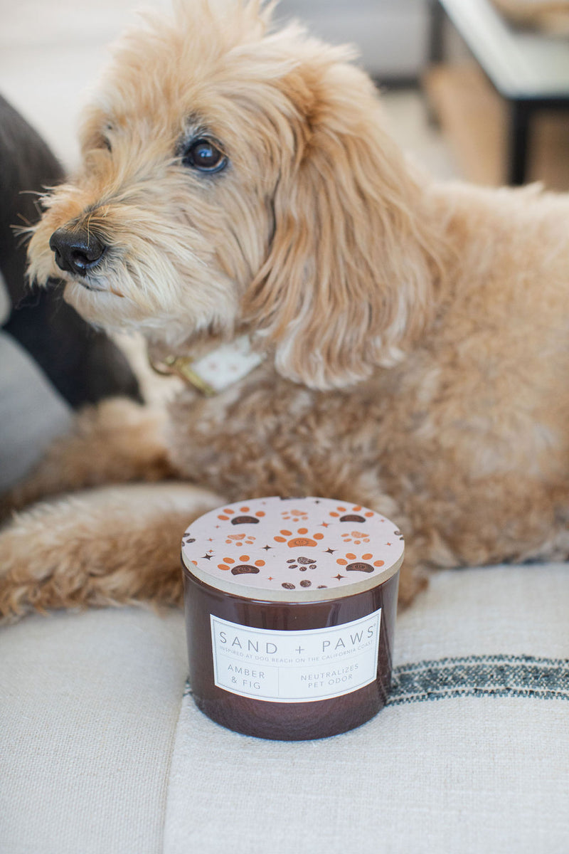 Sand + Paws Amber & Fig 12 oz scented candle